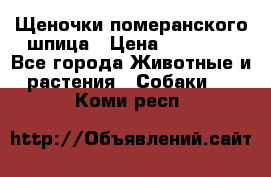 Щеночки померанского шпица › Цена ­ 25 000 - Все города Животные и растения » Собаки   . Коми респ.